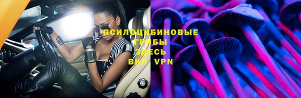 марки lsd Богородицк