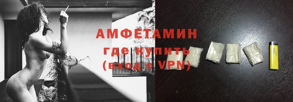 молекула духа Богданович