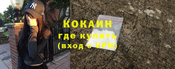 молекула духа Богданович