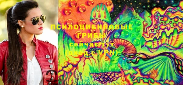 герыч Бронницы