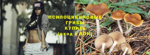 марки lsd Богородицк