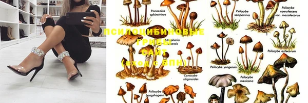 марки lsd Богородицк