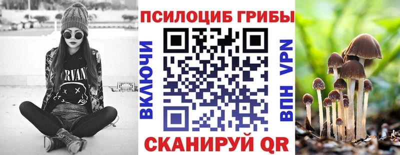 дарнет шоп Крым Псилоцибиновые грибы Cubensis